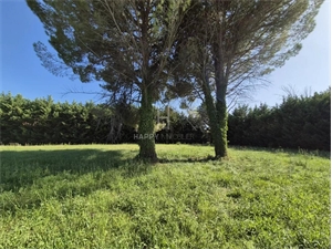 terrain à la vente -   13210  SAINT REMY DE PROVENCE, surface 1200 m2 vente terrain - UBI477906050